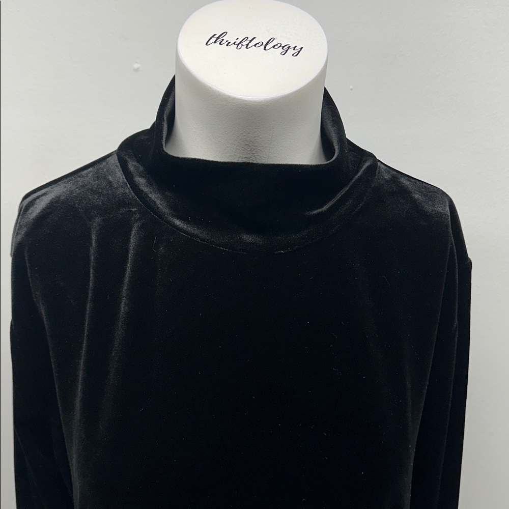 Pomander Place Mottershead Velvet Dress Long Sleeve High Neck Stretch Black XL - Picture 3 of 10